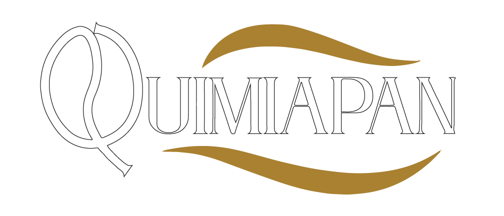 Quimiapan Logo